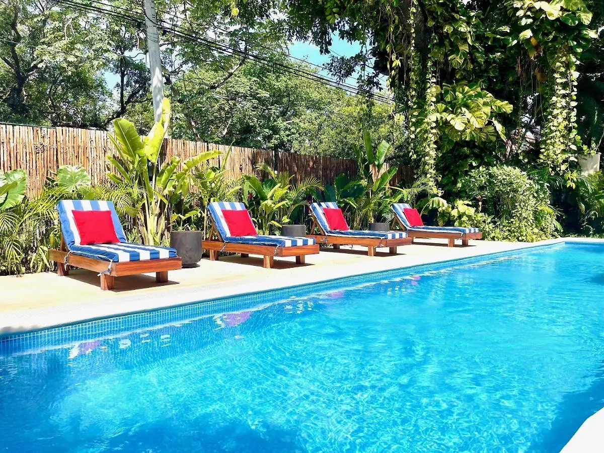 Apartman Comfortable Department Playa Del Carmen